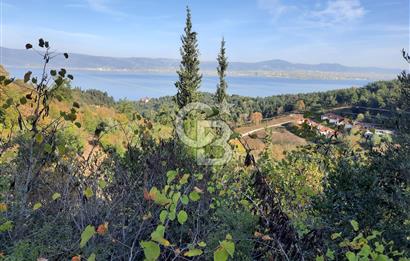 Ulasli  deniz manzara villa imarli arsa