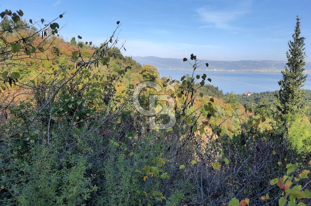 Ulasli  deniz manzara villa imarli arsa