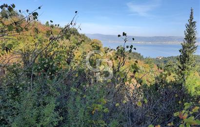 Ulasli  deniz manzara villa imarli arsa