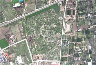 Bayındır' da Yatırımlık Sanayi İmarlı Satılık Arsa CB-PH - 5 - 311728