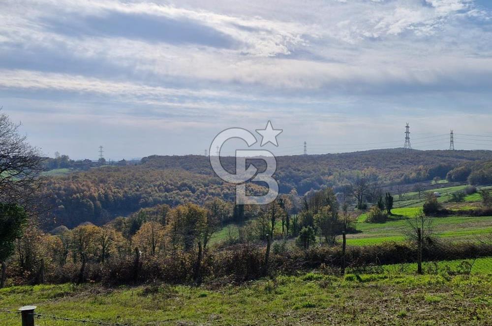 KOCAELİ GEBZE HATİPLER KÖYÜ 3548 M2 MÜSTAKİL TAPULU ARAZİ