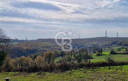 KOCAELİ GEBZE HATİPLER KÖYÜ 3548 M2 MÜSTAKİL TAPULU ARAZİ