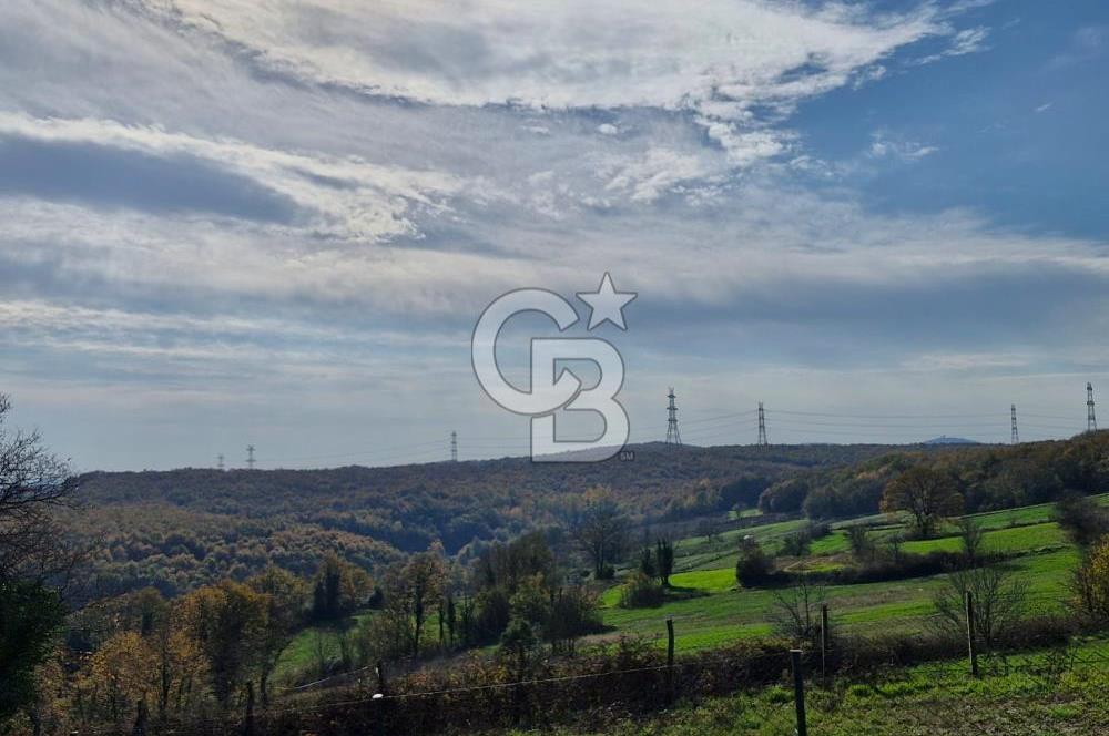 KOCAELİ GEBZE HATİPLER KÖYÜ 3548 M2 MÜSTAKİL TAPULU ARAZİ