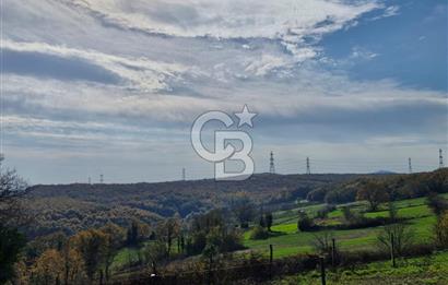 KOCAELİ GEBZE HATİPLER KÖYÜ 3548 M2 MÜSTAKİL TAPULU ARAZİ