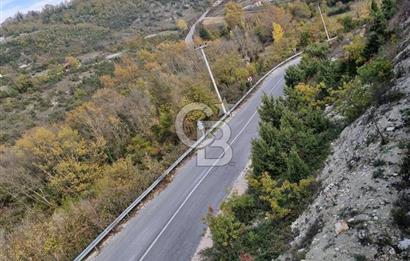 KOCAELİ GEBZE ELBİZLİ'DE SATILIK 1869 M2 TEK TAPULU ARAZİ