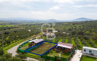 Foça Kocamehmetler'de Satılık Hisseli Tarla