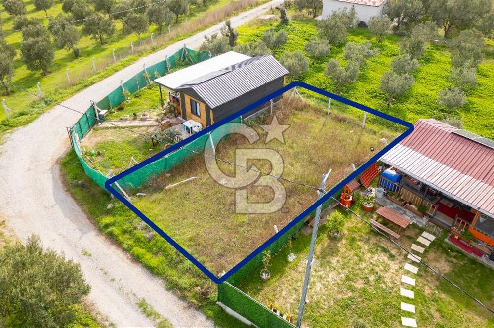 Foça Kocamehmetler'de Satılık Hisseli Tarla