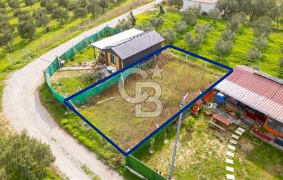 Foça Kocamehmetler'de Satılık Hisseli Tarla