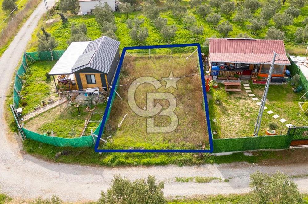 Foça Kocamehmetler'de Satılık Hisseli Tarla