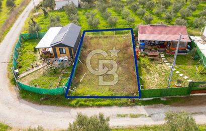 Foça Kocamehmetler'de Satılık Hisseli Tarla