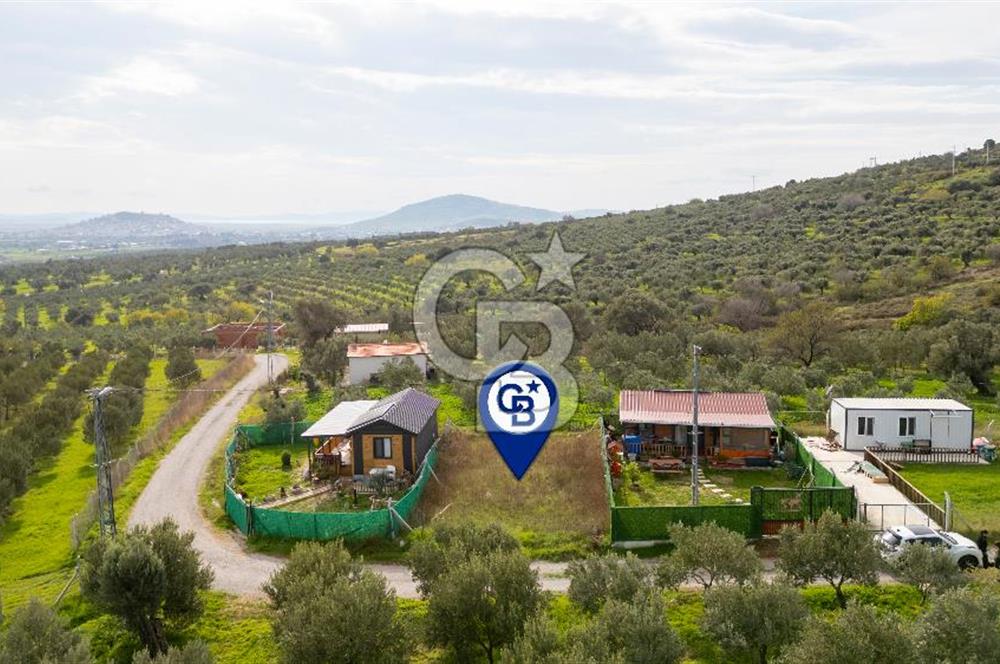 Foça Kocamehmetler'de Satılık Hisseli Tarla