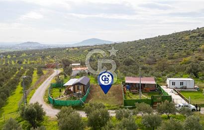 Foça Kocamehmetler'de Satılık Hisseli Tarla