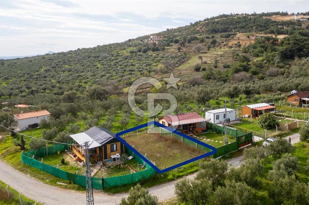 Foça Kocamehmetler'de Satılık Hisseli Tarla