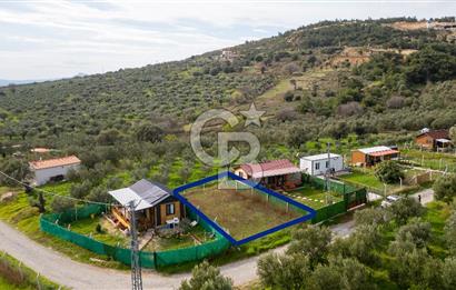 Foça Kocamehmetler'de Satılık Hisseli Tarla