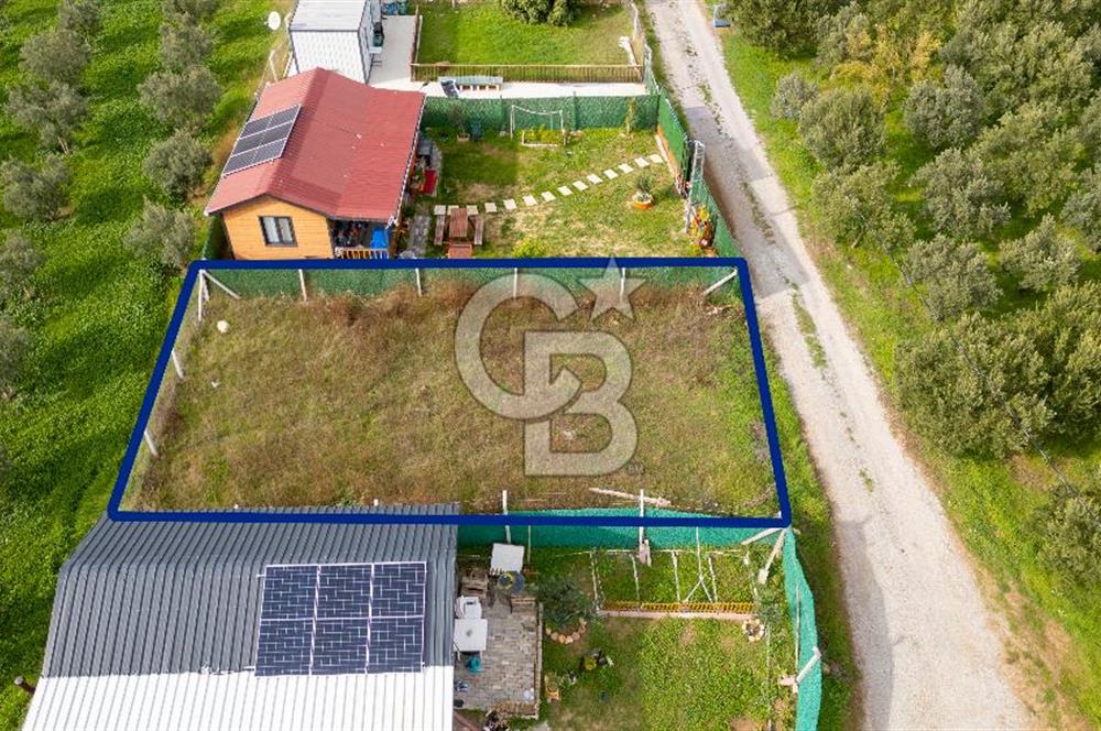 Foça Kocamehmetler'de Satılık Hisseli Tarla