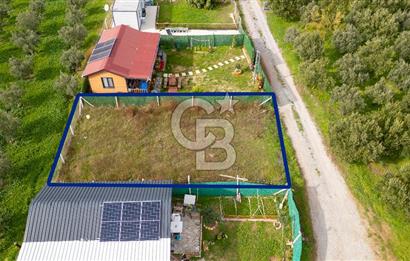 Foça Kocamehmetler'de Satılık Hisseli Tarla