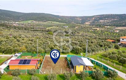 Foça Kocamehmetler'de Satılık Hisseli Tarla