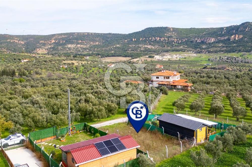 Foça Kocamehmetler'de Satılık Hisseli Tarla