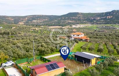 Foça Kocamehmetler'de Satılık Hisseli Tarla