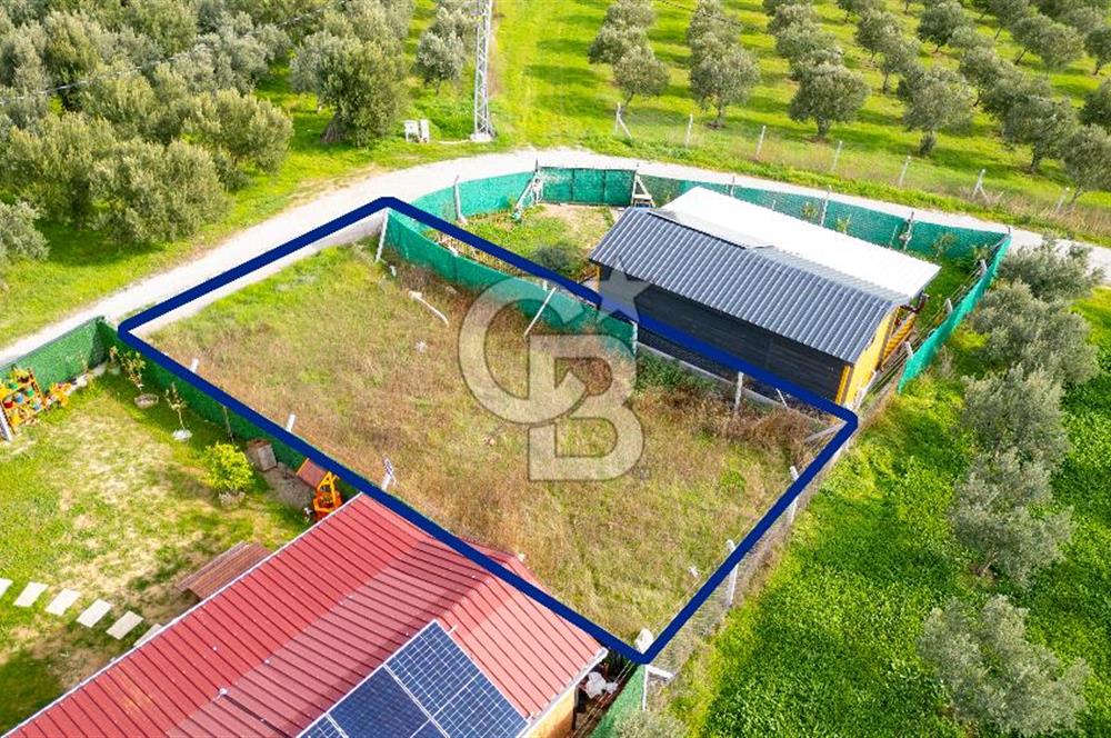 Foça Kocamehmetler'de Satılık Hisseli Tarla