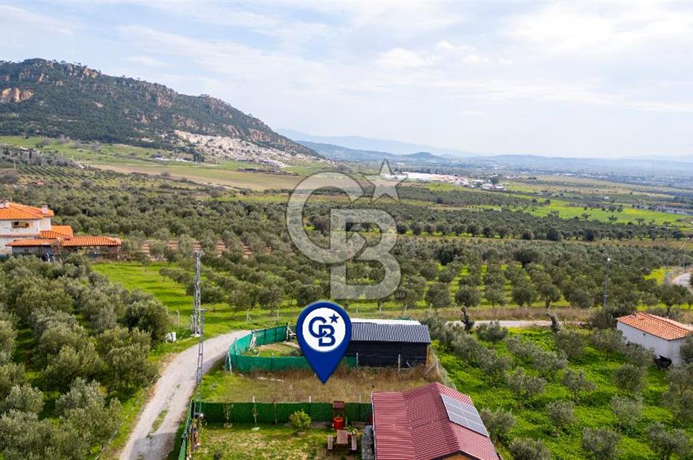 Foça Kocamehmetler'de Satılık Hisseli Tarla