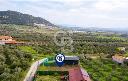 Foça Kocamehmetler'de Satılık Hisseli Tarla