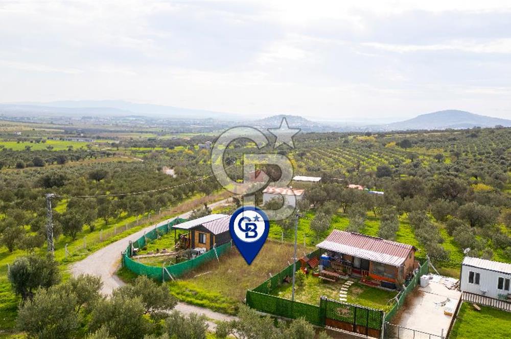 Foça Kocamehmetler'de Satılık Hisseli Tarla