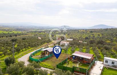 Foça Kocamehmetler'de Satılık Hisseli Tarla