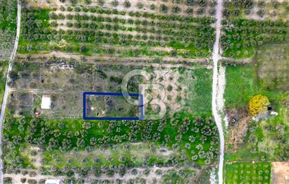 Foça Gerenköy'de Satılık Tarla