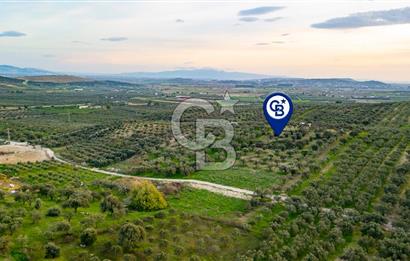 Foça Gerenköy'de Satılık Tarla