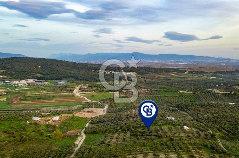 Foça Gerenköy'de Satılık Tarla