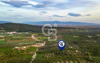 Foça Gerenköy'de Satılık Tarla