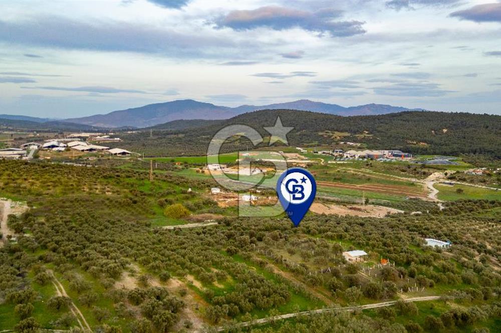 Foça Gerenköy'de Satılık Tarla