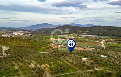 Foça Gerenköy'de Satılık Tarla