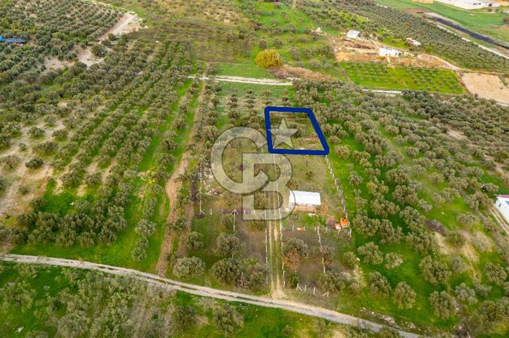 Foça Gerenköy'de Satılık Tarla