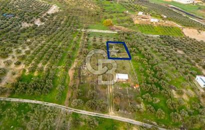 Foça Gerenköy'de Satılık Tarla