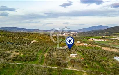 Foça Gerenköy'de Satılık Tarla