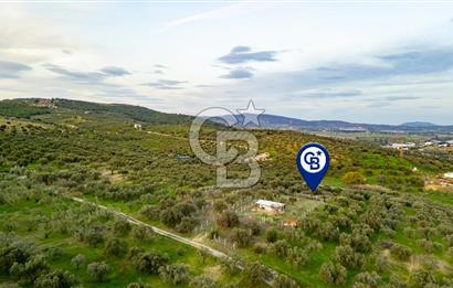 Foça Gerenköy'de Satılık Tarla