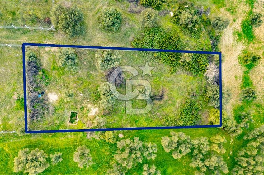 Foça Gerenköy'de Satılık Tarla