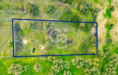 Foça Gerenköy'de Satılık Tarla