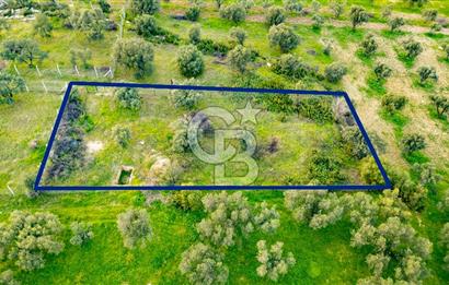 Foça Gerenköy'de Satılık Tarla