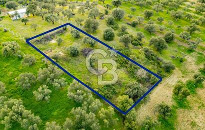 Foça Gerenköy'de Satılık Tarla