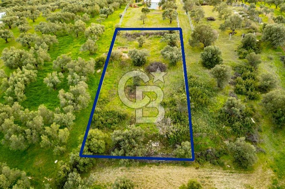 Foça Gerenköy'de Satılık Tarla