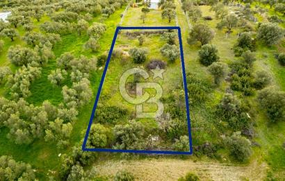 Foça Gerenköy'de Satılık Tarla