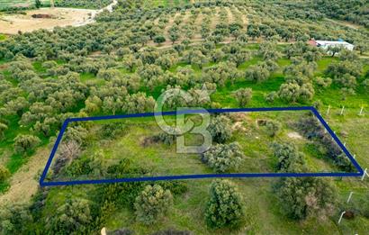 Foça Gerenköy'de Satılık Tarla