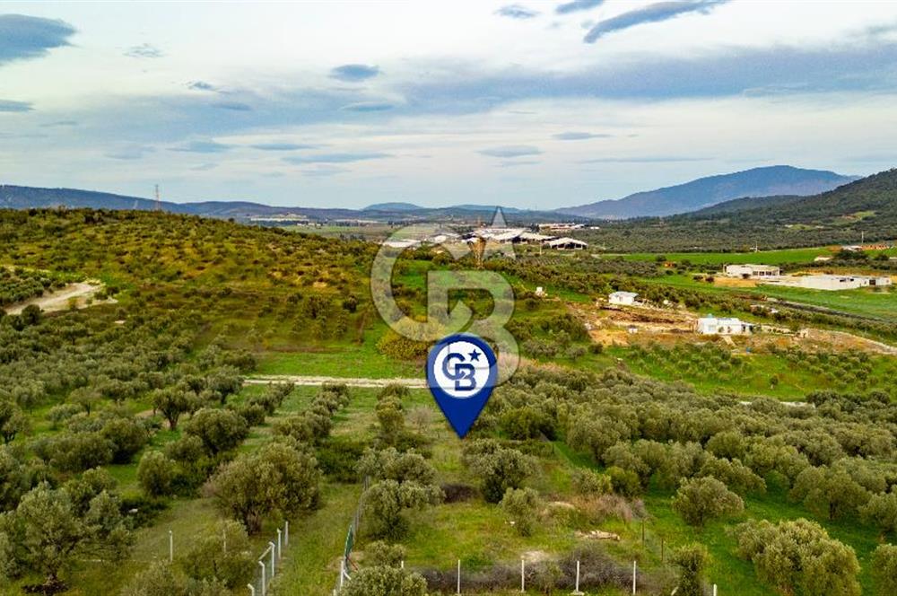 Foça Gerenköy'de Satılık Tarla