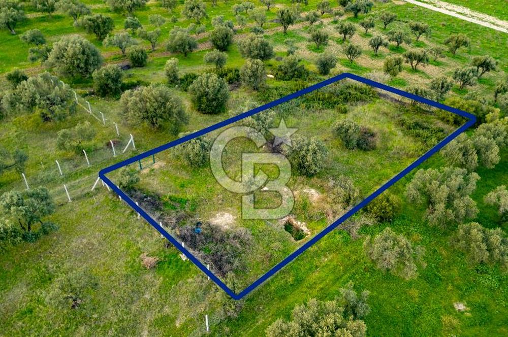 Foça Gerenköy'de Satılık Tarla