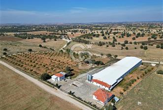 CB OPİA'DAN " ÇALIŞIR DURUMDA FULL OTOMASYON TAVUK ÇİFTLİĞİ " - 9 - 316614