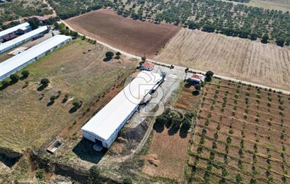 CB OPİA'DAN " ÇALIŞIR DURUMDA FULL OTOMASYON TAVUK ÇİFTLİĞİ "