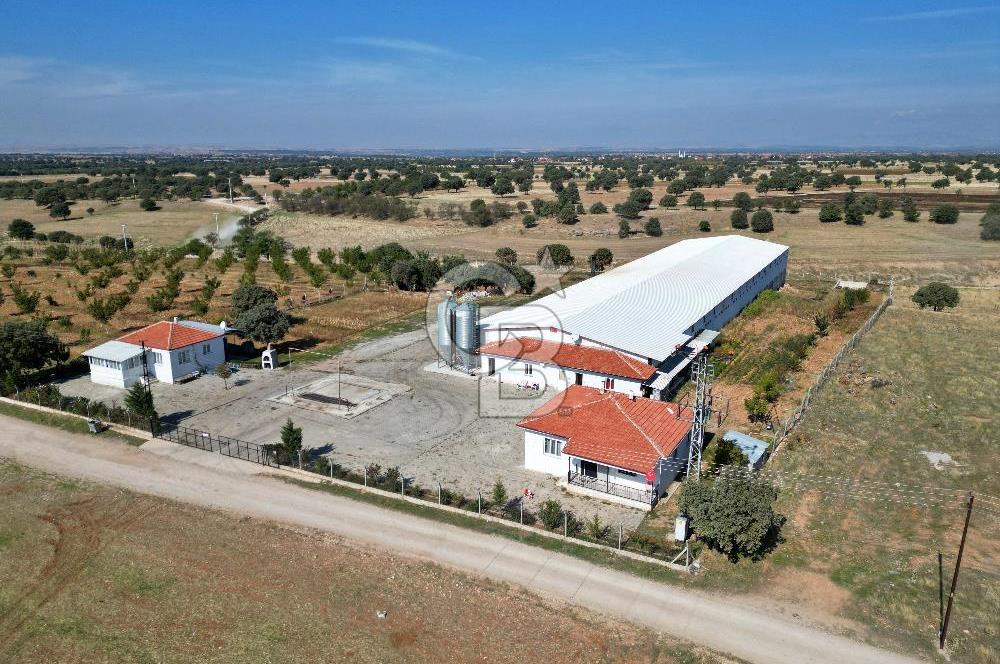 CB OPİA'DAN " ÇALIŞIR DURUMDA FULL OTOMASYON TAVUK ÇİFTLİĞİ "